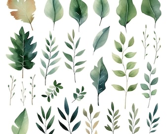 Op de afbeelding: Een verzameling aquarel illustraties van verschillende groene bladeren en takken, waaronder eikenbladeren, varens en ander gebladerte.