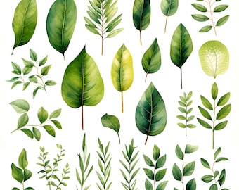 Op de afbeelding: Een verzameling aquarel illustraties van groene bladeren en takken. De bladeren zijn in verschillende vormen en maten, en sommige hebben een gele tint. De illustraties zijn perfect om een vleugje natuur aan elk project toe te voegen.