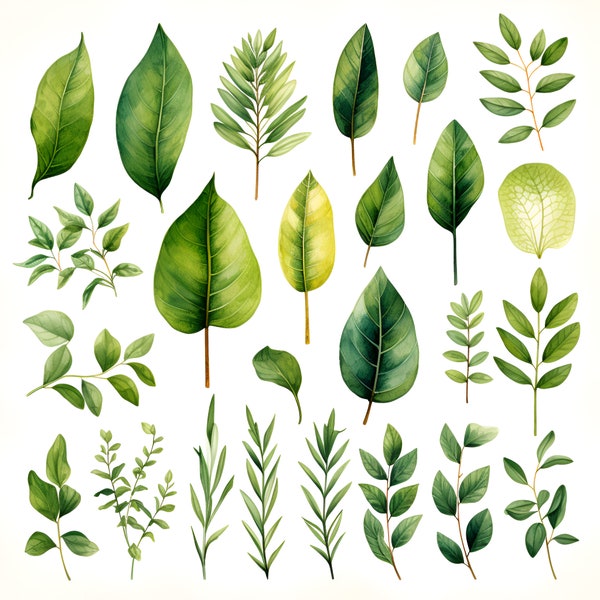 Watercolor Greenery Foliage Clipart Bundle: 25 images, transparent background, botanical clipart, foliage art, watercolor foliage clipart