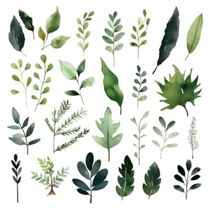 Greenery foliage leaves clipart | Watercolor Foliage PNG | Watercolor Botanical | Foliage Clipart | Invitation | Instant Download