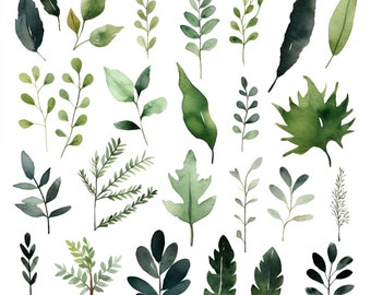 Op de afbeelding: Een verzameling van 25 aquarel illustraties van verschillende groene bladeren en takken. De bladeren zijn in verschillende vormen en maten, en sommige hebben een meer gedetailleerde textuur dan andere.