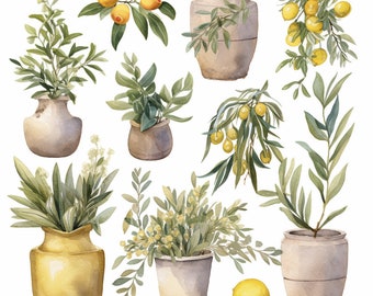 Mediterrane aquarel clipart-botanische gebladerte-olijf clipart-PNG clipart-botanische clipart-groen-aquarel clipart