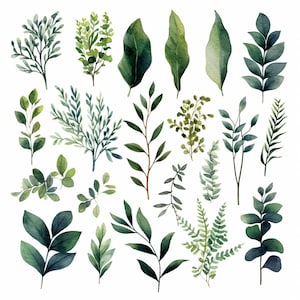 Greenery Foliage Leaves ClipArt Set: 21 images- Watercolor Botanical PNG Digital Files for Wedding Invitations, Scrapbooking and Crafts