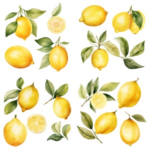 Clipart di limone, Clipart acquerello mediterraneo, Clipart PNG, Clipart botanico, Fogliame dell'acquerello, Limone dell'acquerello, Frutta, Fogliame primaverile