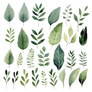 Set di clipart fogliame verde acquerello: 28 PNG, clipart foglie acquerello, download istantaneo, Scrapbooking, sfondo trasparente, foglia