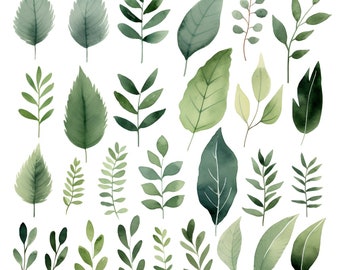 Watercolor Greenery Foliage Clipart Set: 28 PNG, Watercolor Leaves Clipart, Instant download, Scrapbooking, Transparent Background, Leaf