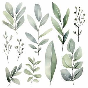 Clipart verde salvia - Clipart verde - Clipart salvia - Acquerello salvia - Verde acquerello - Verde - Inviti, Artigianato