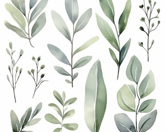 Sauge verdure Clipart - verdure Clipart - Sage Clipart - sauge aquarelle - aquarelle verdure - verdure - Invitations, artisanat