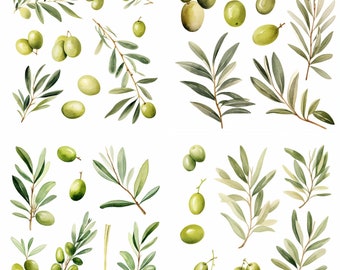 Botanische groen clipart - Olive clipart - salie clipart - Olive aquarel-lente - aquarel groen - groen - uitnodigingen, ambachten