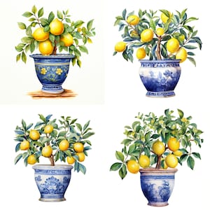Mediterranean Watercolor Clipart - Lemon Tree Clipart - Watercolor Lemons - PNG Clipart - Botanical Clipart - Watercolor Clipart, Foliage