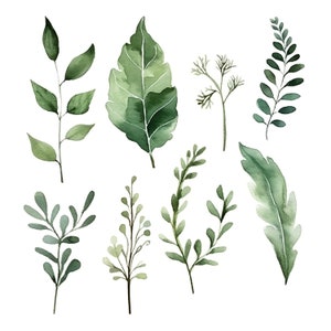 Greenery foliage leaves clipart | Watercolor Foliage PNG | Watercolor Botanical | Foliage Clipart | Invitation | Instant Download