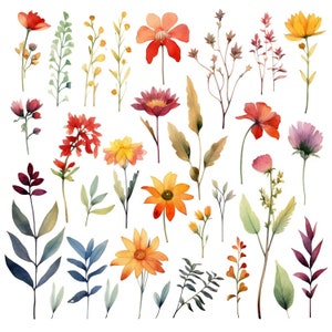 Clipart de flores silvestres em aquarela: 30 png, clipart floral, flores em aquarela, flores da primavera, png floral, aquarela de flores silvestres, convite