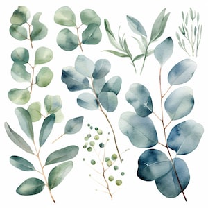 Verdure feuillage feuilles ClipArt ensemble, Eucalyptus Clipart : 28 images-aquarelle botanique PNG, faire-part de mariage, Scrapbooking, artisanat