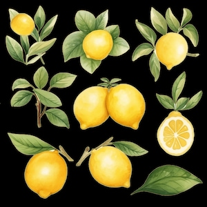 May include: Watercolour illustration of lemons with green leaves. The lemons are yellow and have a glossy finish. The leaves are green and have a watercolour texture.