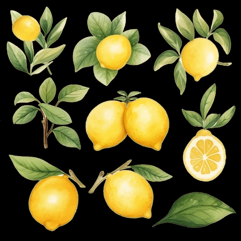 May include: Watercolour illustration of lemons with green leaves. The lemons are yellow and have a glossy finish. The leaves are green and have a watercolour texture.