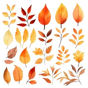 Watercolor Fall Leaves Clipart bundle: 25 png, Fall Foliage, Orange Fall Leaves, Fall Leaf Watercolor artwork, Watercolor Leaf Clipart