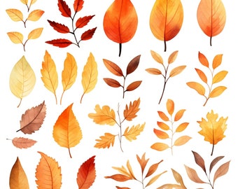Watercolor Fall Leaves Clipart bundle: 25 png, Fall Foliage, Orange Fall Leaves, Fall Leaf Watercolor artwork, Watercolor Leaf Clipart
