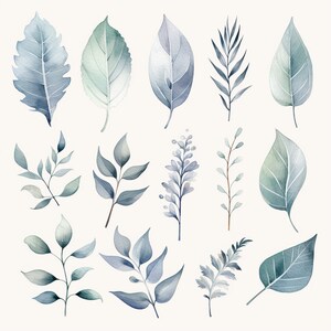 May include: A watercolour illustration featuring an assortment of leaves in blue and green hues. The leaves vary in shape and size, showcasing intricate vein patterns and textures. They are set against a cream backdrop, forming a natural and artistic composition.