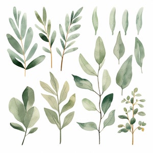 Clipart verde salvia - Clipart verde - Clipart salvia - Acquerello salvia - Verde acquerello - Verde - Inviti, Artigianato