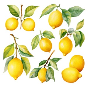 Aquarel citroen clipart set: 16 afbeeldingen, fruit, gebladerte, citroenkunst, aquarel gebladerte, groen clipart, fruit clipart, aquarel fruit