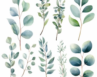 Watercolor Eucalyptus Clipart - Baby Blue Eucalyptus - Greenery Clipart - Individual Elements - Eucalyptus Clipart - Watercolor Greenery