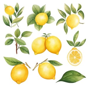 May include: Watercolour illustration of lemons with green leaves. The lemons are yellow and the leaves are green. There are 9 lemons and leaves in total.