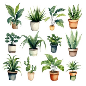 Aquarel kamerplanten clipart - aquarel groen en gebladerte - Instant Download - Philadendrum - potplanten - varens - Snake Plant