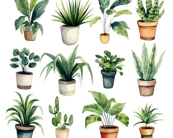 Watercolor House Plants Clipart - Watercolor Greenery and Foliage - Instant Download - Philadendrum - Potted Plants - Fern - Snake Plant