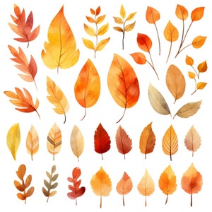 Watercolor Fall Leaves Clipart Set: 35 Images, Watercolor fall foliage, Leaf png, Fall Leaf Design, Orange Leaves, Fall Clipart, Individual