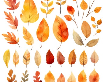Watercolor Fall Leaves Clipart Set: 35 Images, Watercolor fall foliage, Leaf png, Fall Leaf Design, Orange Leaves, Fall Clipart, Individual