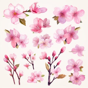 Clipart de flor de cerejeira em aquarela, flores e folhagens em flor de cerejeira, flores rosa, cerejeira, flor de primavera, flores de primavera, aquarela