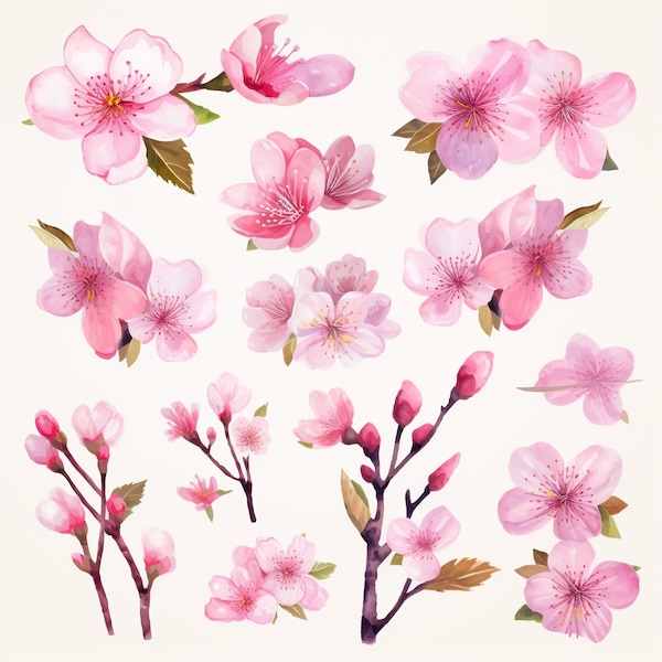 Watercolor Cherry Blossom Clipart, Cherry Blossom Flowers and Foliage, Pink Flowers, Cherry Tree, Spring Bloom, Spring Flowers, Watercolor