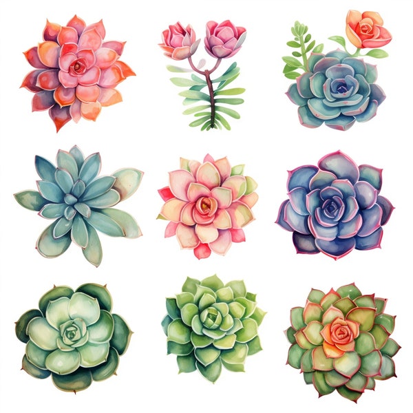 Watercolor Succulent Clipart Watercolor Cactus: 21 Images, Succulent PNG, Botanical Garden Digital File, Transparent Background Cactus