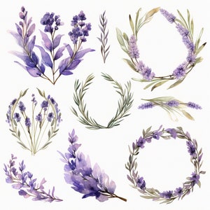 Lavender Accent ClipArt Bundle, 19 items- Watercolor Botanical PNG Digital Files for Wedding Invitations, Scrapbooking and Crafts