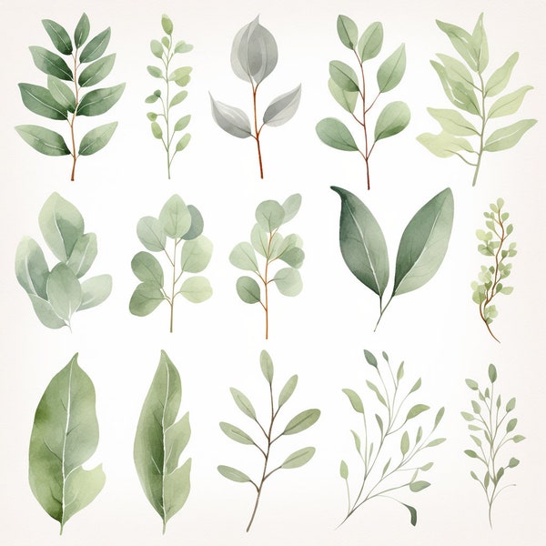 Sage Greenery Clipart - Greenery Clipart - Sage Clipart - Sage Watercolor - Watercolor Greenery - Greenery - Invitations, Crafts