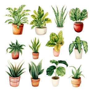 Aquarel kamerplanten clipart - aquarel groen en gebladerte - Instant Download - diverse planten - potplanten - varens - Snake Plant