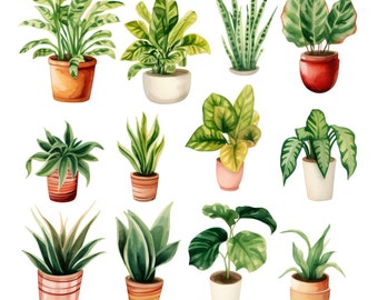 Aquarel kamerplanten clipart - aquarel groen en gebladerte - Instant Download - diverse planten - potplanten - varens - Snake Plant
