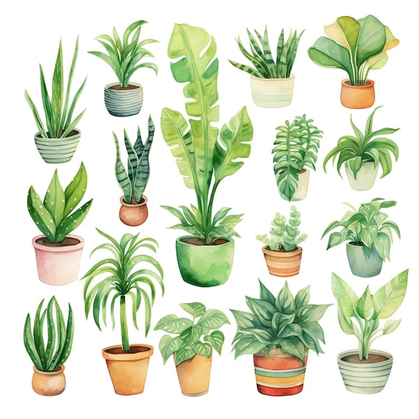 Watercolor House Plants Clipart - Watercolor Greenery and Foliage - 4k - transparent background - snake plant - philodendron - leaves art
