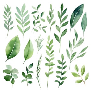 Watercolor Greenery Foliage Clipart Set: 17 PNG, Watercolor Leaves Clipart, Instant download, Scrapbooking, Transparent Background, Leaf