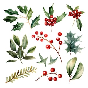 Watercolor Winter Clipart - Watercolor Christmas - Branches - Fir - Winterberries - Christmas Foliage - Christmas PNG - Christmas Clipart