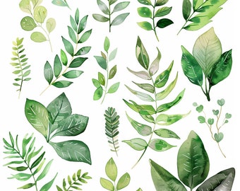 Conjunto de imágenes prediseñadas de follaje verde de acuarela: 32 PNG, imágenes prediseñadas de hojas de acuarela, descarga instantánea, Scrapbooking, fondo transparente, hoja