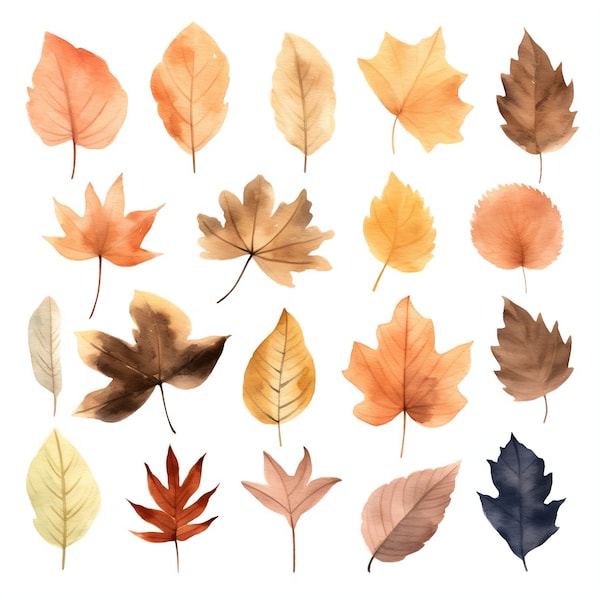 Fall Leaves PNG download, Fall Leaves Clipart, Fall Maple Leaves, Fall Leaves PNG Bundle, Watercolor Foliage, Watercolor Fall Leaves, Orange