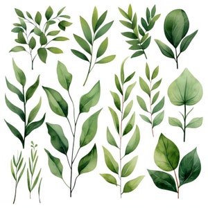 Aquarell Grün Laub Clipart Set: 13 PNG, Aquarell Blätter Clipart, Sofortiger download, Scrapbooking, Transparenter Hintergrund, Blatt