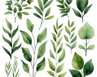 Watercolor Greenery Foliage Clipart Set: 13 PNG, Watercolor Leaves Clipart, Instant download, Scrapbooking, Transparent Background, Leaf