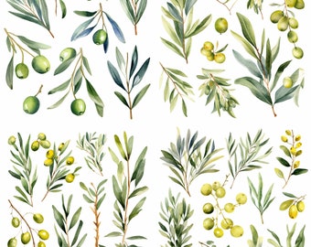 Botanical Greenery Clipart - Olive Clipart - Sage Clipart - Olive Watercolor- Spring - Watercolor Greenery - Greenery - Invitations, Crafts