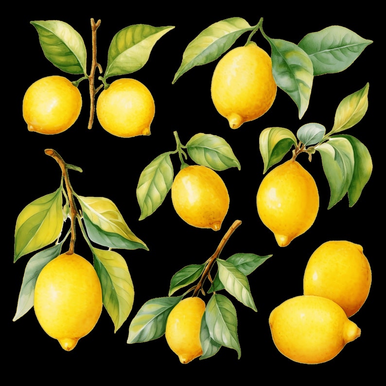 May include: A collection of nine yellow lemons with green leaves, painted in a realistic style.