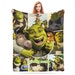 see more listings in the Cartoon blanket section