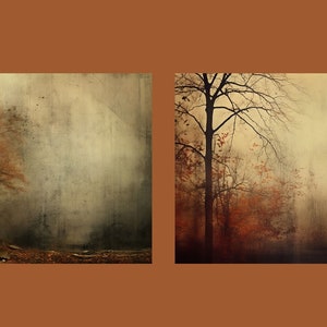 Puede incluir: Dos fotograf&iacute;as de paisajes atmosf&eacute;ricos y melanc&oacute;licos de &aacute;rboles en un bosque brumoso. La primera imagen presenta un &aacute;rbol &uacute;nico con hojas naranjas en primer plano. La segunda imagen presenta un &aacute;rbol alto y desnudo en primer plano con un grupo de &aacute;rboles con hojas naranjas en el fondo.