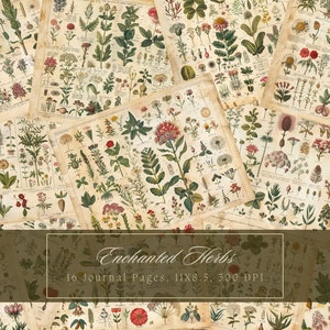 Botanical Herbs Junk Journal Kit Botany Collage Sheet Herbal Digital Paper Scrapbooking Watercolor Plant Vintage Ephemera Apothecary Pages