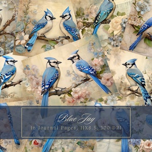 Blue Eichelhäher Vögel und Blumen Junk Journal Kit Blumen Vintage Ephemera Journal Vögel Digitales Papier für Scrapbooking druckbare Collage Sheets